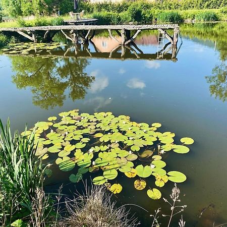 Agroturystyka Leszczynowy Dworek Ponikwa  Luaran gambar