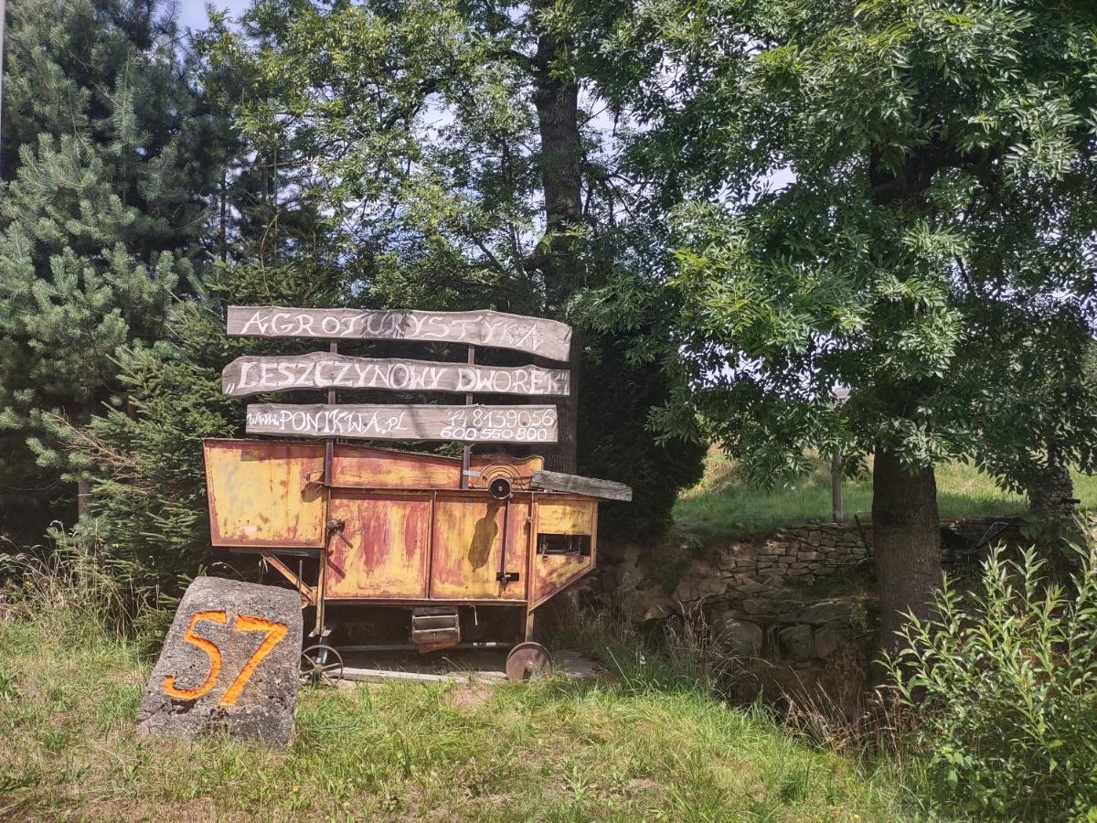 Agroturystyka Leszczynowy Dworek Ponikwa  Luaran gambar